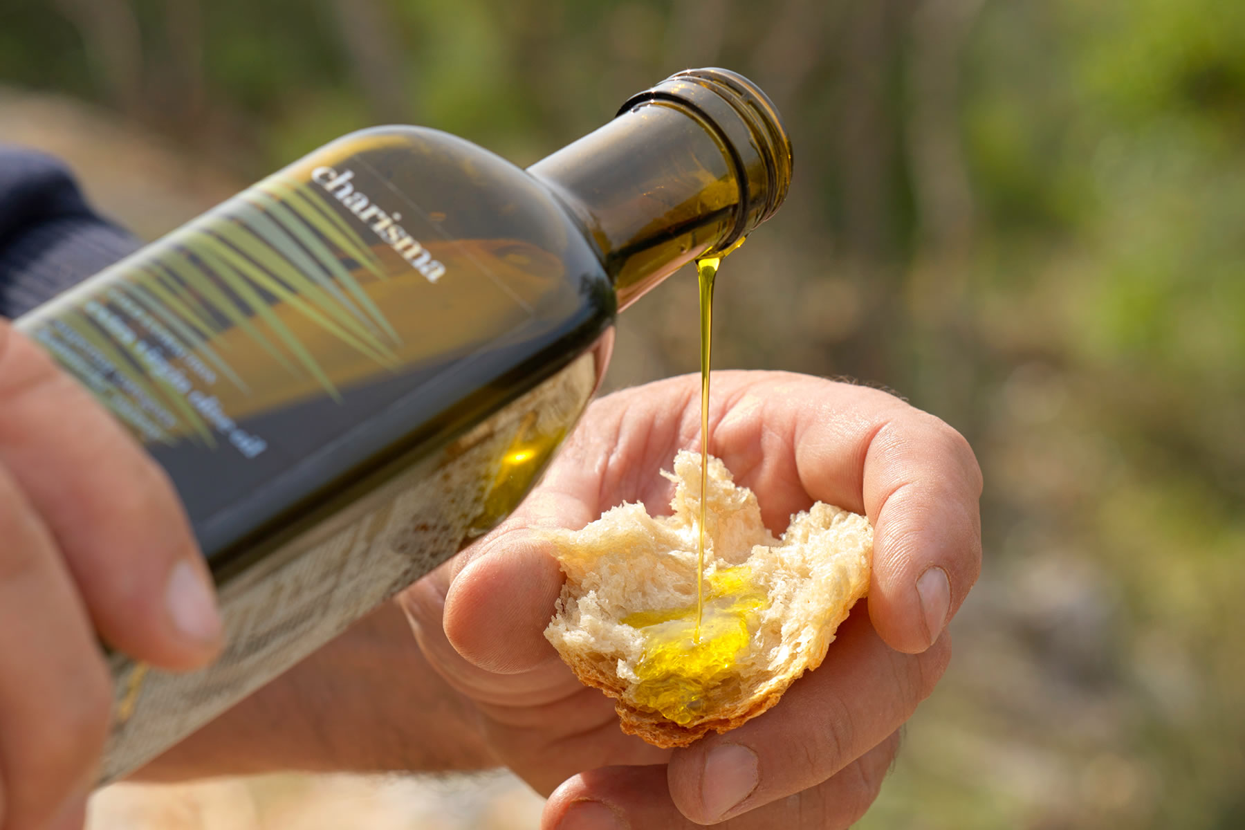 Friendly_Olive_Tour_5