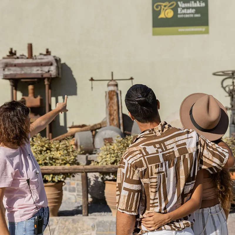 VASSILAKISESTATE-_0000s_0001_Friendly_Olive_Tour_1_resized