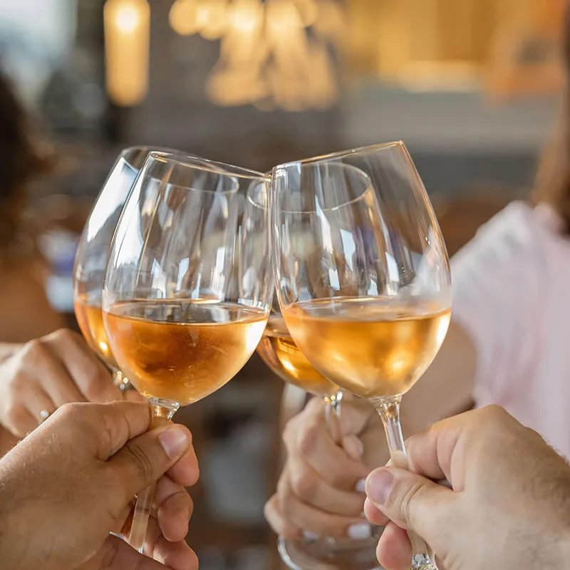 VASSILAKISESTATE-_0000s_0002_cretan-wine-tasting_resized