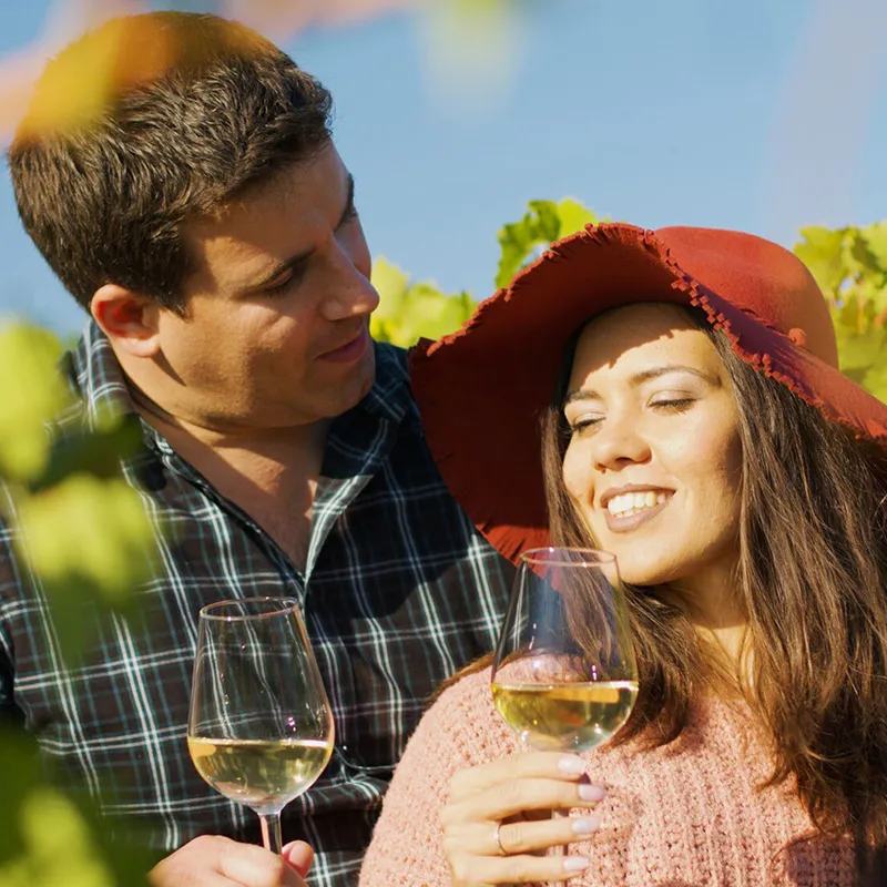 vassilakis11-_0000s_0003_close-up-gorgeous-couple-embracing-each-other-while-holding-glasses-wine-hands_482257-11118_resized