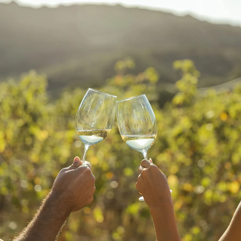 vassilakis11-_0000s_0004_0E9A5448_resized